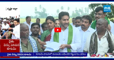 YS Jagan Mohan Reddy Fire Chandrababu Naidu Govt 1
