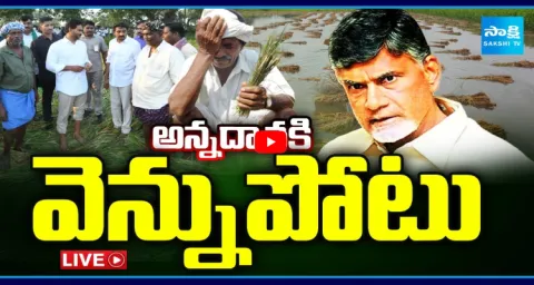 CM Chandrababu Cheating AP Farmers Over Compensation 2