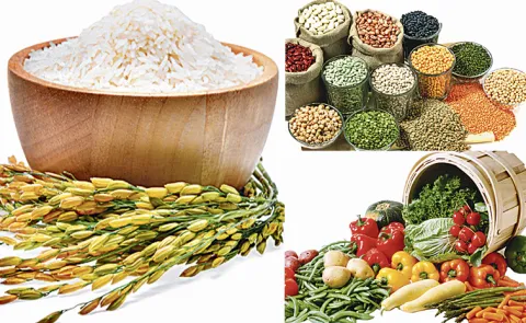 Sagubadi: Special article on Yield gaps importance of factors