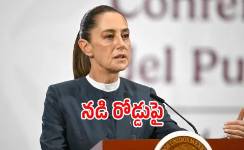 Man Gropes and tries to Kiss Mexico President Claudia Sheinbaum