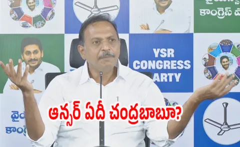 Ysrcp Leader Satish Reddy Fires On Chandrababu And Lokesh