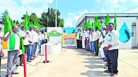 మామిడి రైతులకు న్యాయం చేయండి 