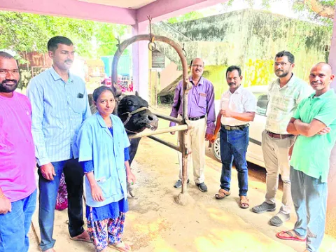 గాలికుంటు వ్యాధి నివారణ టీకాలు వేయించాలి