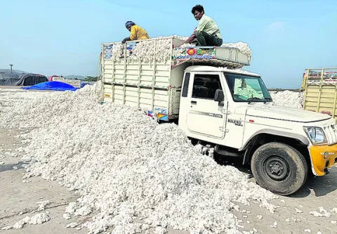 పత్తి ఎక్కువైనా ఏడుపే..!