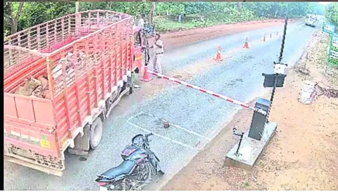 యథేచ్ఛగా పశువుల తరలింపు 