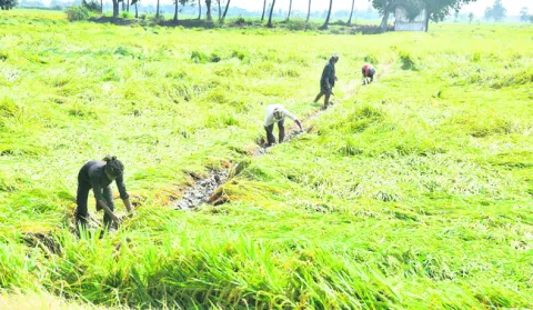 అన్నదాత గోడు పట్టదా!
