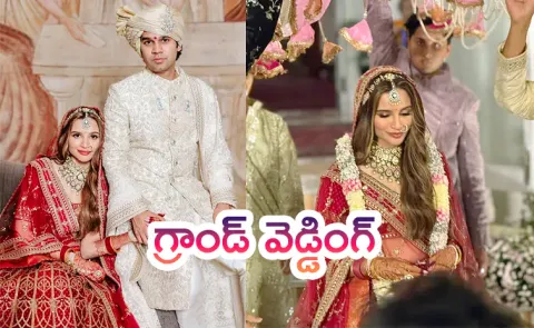 Vedant Birla Tejal Kulkarni grand wedding reception goes viral15