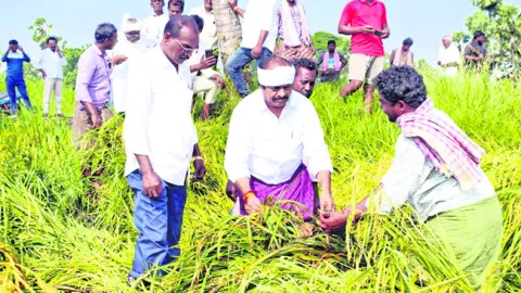 రైతులను సత్వరమే ఆదుకోవాలి 