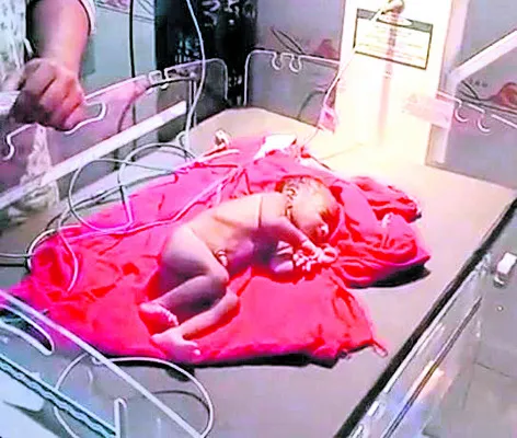 ప్రాణం పోశావు.. ఆటబొమ్మను చేశావు!