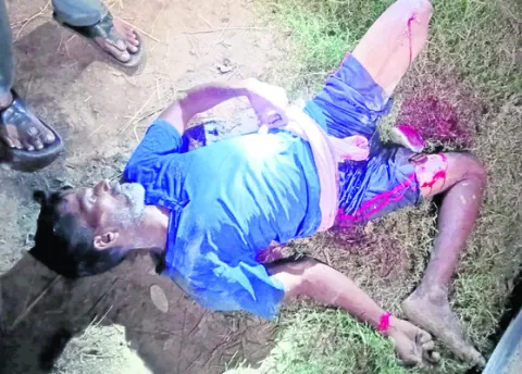 విద్యుత్‌ స్తంభం పడి వ్యక్తి మృతి 