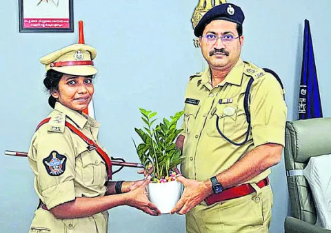 సిరిధాన్యాలపై దృష్టి పెట్టండి