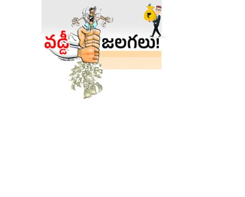 కాజీప