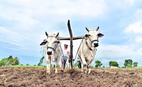 ప్రణాళిక ఖరారు!