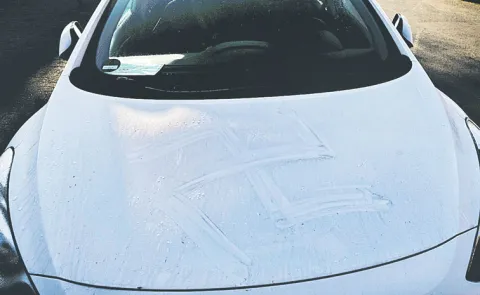 Cars in German city found smeared with swastikas in blood14