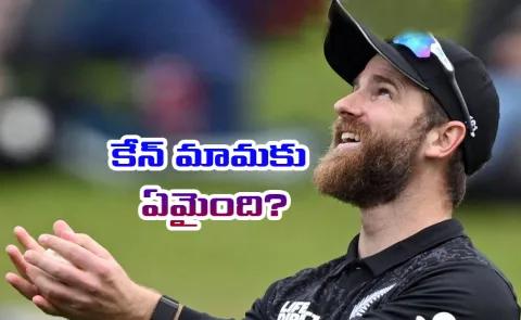 Kane Williamson opts out of New Zealands ODI squad