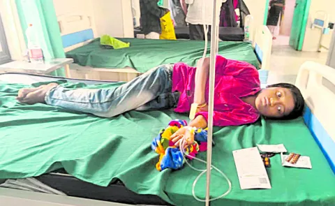 Toxic fever and jaundice in Baduguleru SC colony