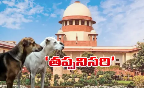 Stray Dog ​​Case: Supreme Courts Key Orders