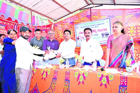 పశుసంపదను కాపాడేందుకే టీకాలు