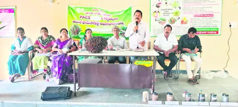 ఆయిల్‌ పామ్‌ సాగుపై శ్రద్ధపెట్టాలి