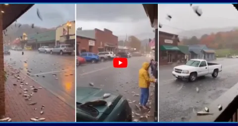  Fish Rain Falling From The Sky Video Goes Viral 1