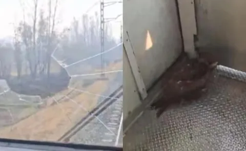 Eagle breaks through train windshield in Kashmir Video Viral12
