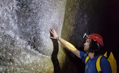 Scientists Discover Worlds Largest Spiderweb Housing