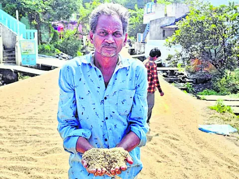 తగిన ఫలితం దక్కడం లేదు 