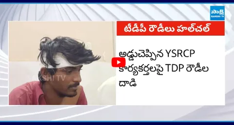 TDP Leaders Attack On YSRCP Activists In Nayanapalli Anantapur 1