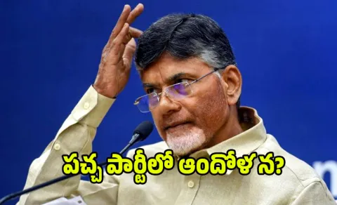 CM Chandrababu Silent On TDP Leaders Issues