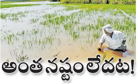 Chandrababu govt drastically reduces crop damage estimates of Cyclone Montha
