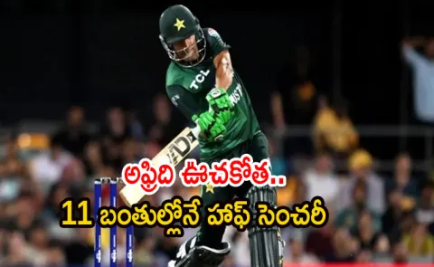 Pakistan Win Hong Kong Sixes 2025, Beat Kuwait In Final8