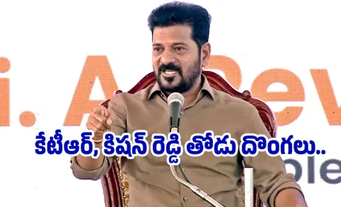 CM revanth Reddy Key Comments On telangana Development