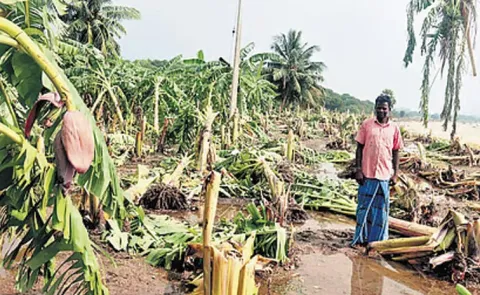 Central team to visit Andhra Pradesh on November 10 and 11 to assess Cyclone Montha damage