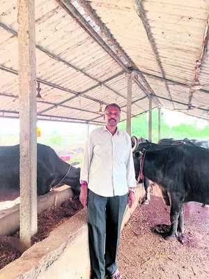 శాస్త్రోక్తంగా పల్లకీ సేవ 