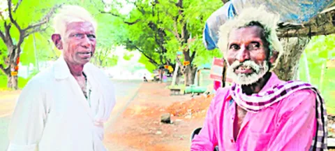 దయచేసి ధాన్యం కొనండి ! 