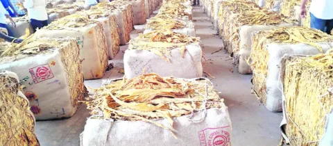 రూ.2,495 కోట్ల వర్జీనియా అమ్మకాలు 