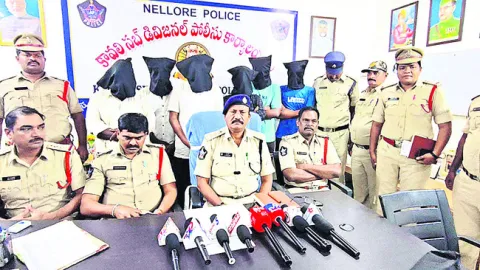 భూ వివాదంతోనే ప్రసాద్‌నాయుడి హత్య 