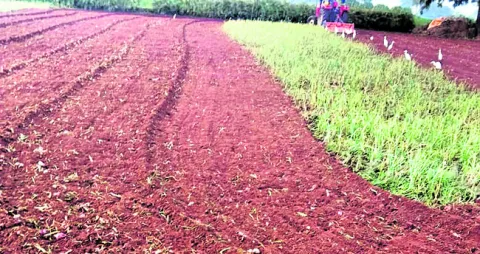 రైతు కష్టం మట్టిపాలు