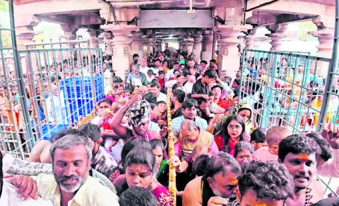 ఉచిత లడ్డూ ప్రసాదం