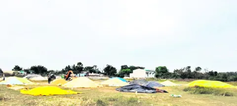 అన్నదాతలకు ‘దిత్వా’ భయం