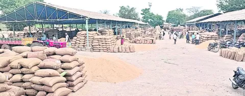 21 వేల బస్తాల ధాన్యం రాక 
