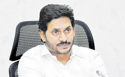 YS Jagan Guidelines to YSRCP MPs: Andhra pradesh