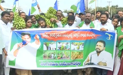 YSRCP Sailajanath Support Anantapur Banana Farmers Protest