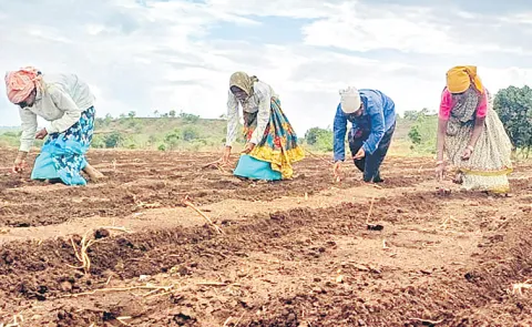 Indian Farmers Rights On Seeds Musaida Bill