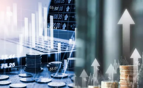 Investment is The Path to Growth