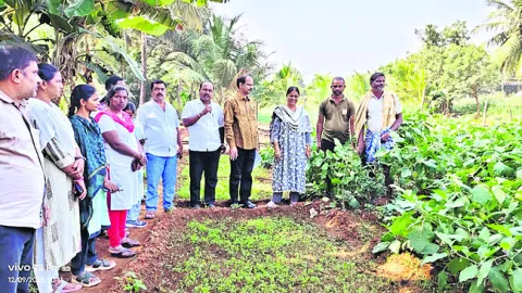 ఆధునిక యాజమాన్య పద్ధతులతో మేలైన దిగుబడులు 