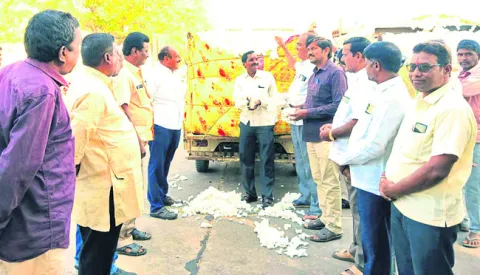 పెరిగిన పత్తి ధర
