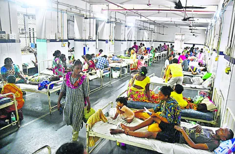 మహా నగరం.. దోమలతో నిత్యం నరకం