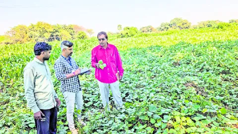 పంట పొలాల సందర్శన
