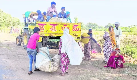 ప్రచారంలోనే మన కూలీలు..!